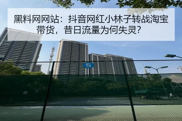 hei-liao-wang-wang-zhan-dou-yin-wang-hong-xiao-lin-zi-zhuan-zhan-tao-bao-dai-huo-xi-ri-liu-liang-wei-he-shi-ling-2-689.jpg